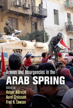 cover of Armies and Insurgencies in the Arab Spring