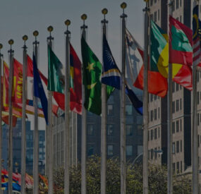 the flags in front of the United Nations building